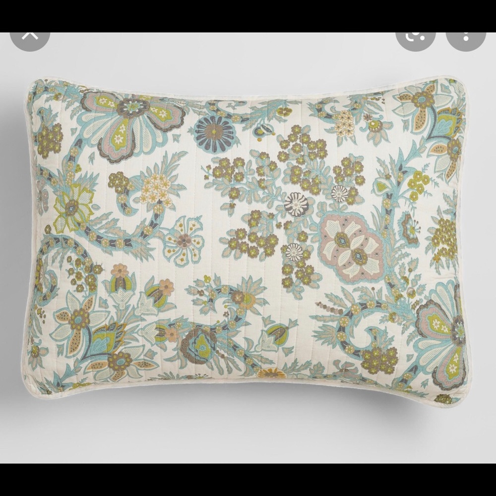 World Market Alisha Pillow Shams